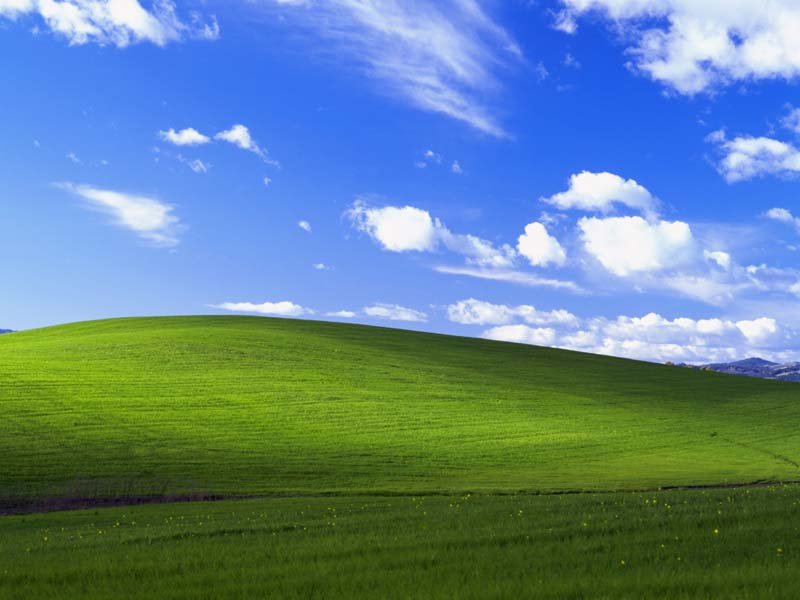 Colline verdoyante.jpg