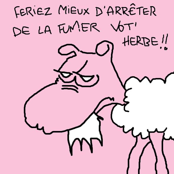 Mouton.jpg