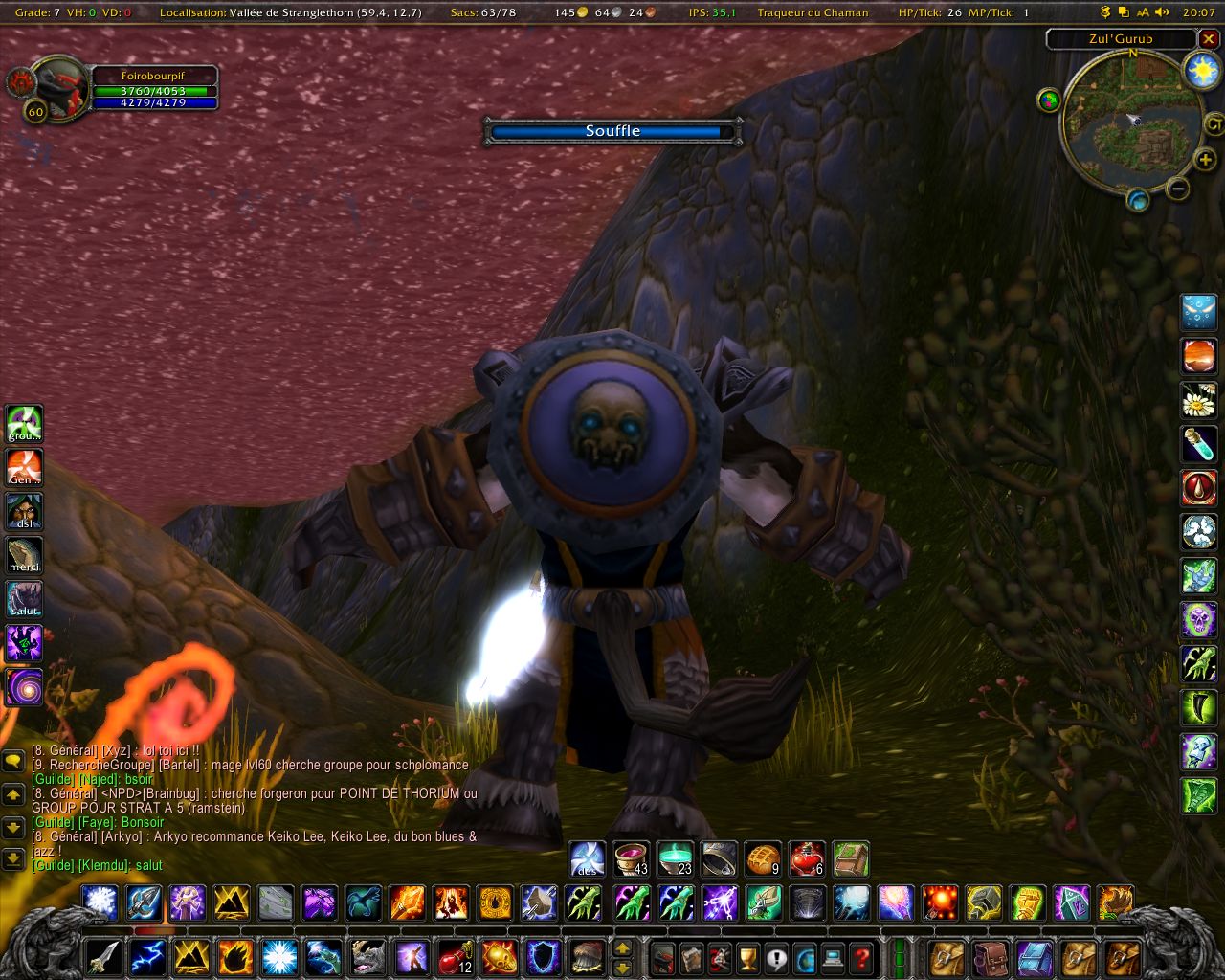 WoWScrnShot_060405_200825.jpg