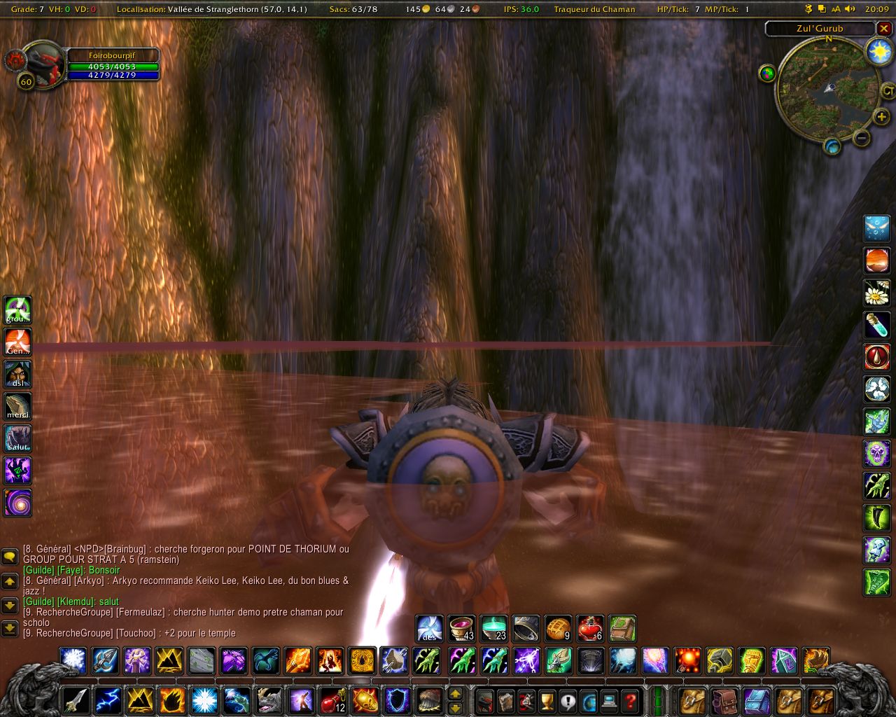 WoWScrnShot_060405_200935.jpg