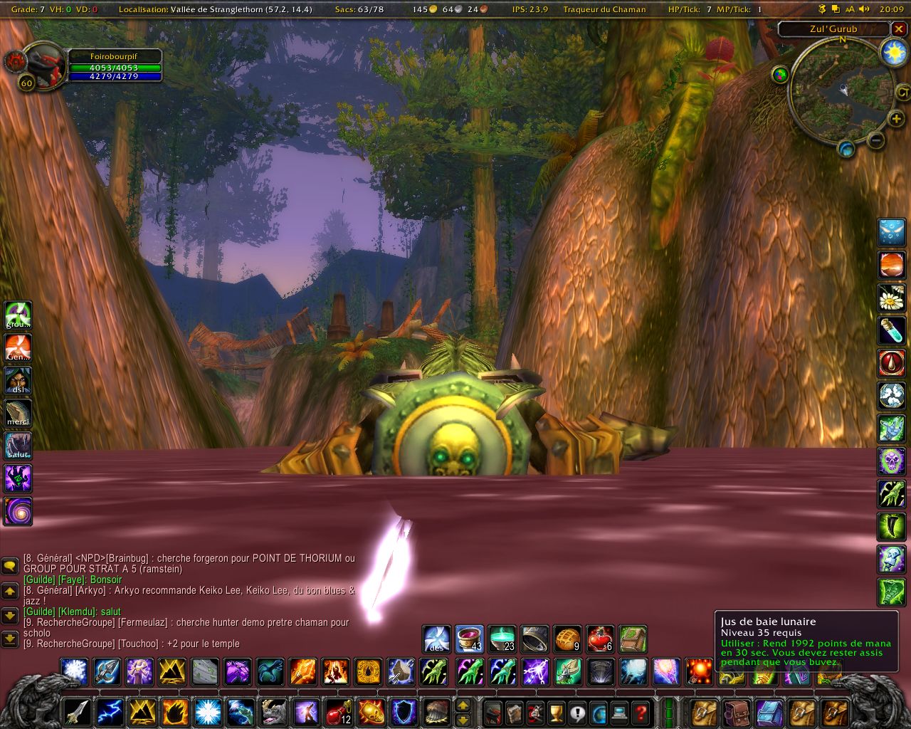 WoWScrnShot_060405_200949.jpg