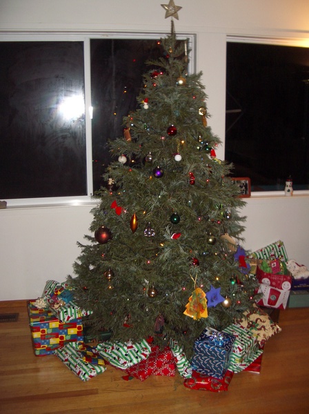 sapin.jpg