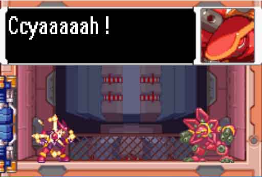 cya.jpg